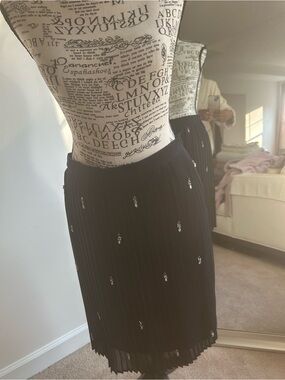 Embellished Black Pleated Midi Skirt